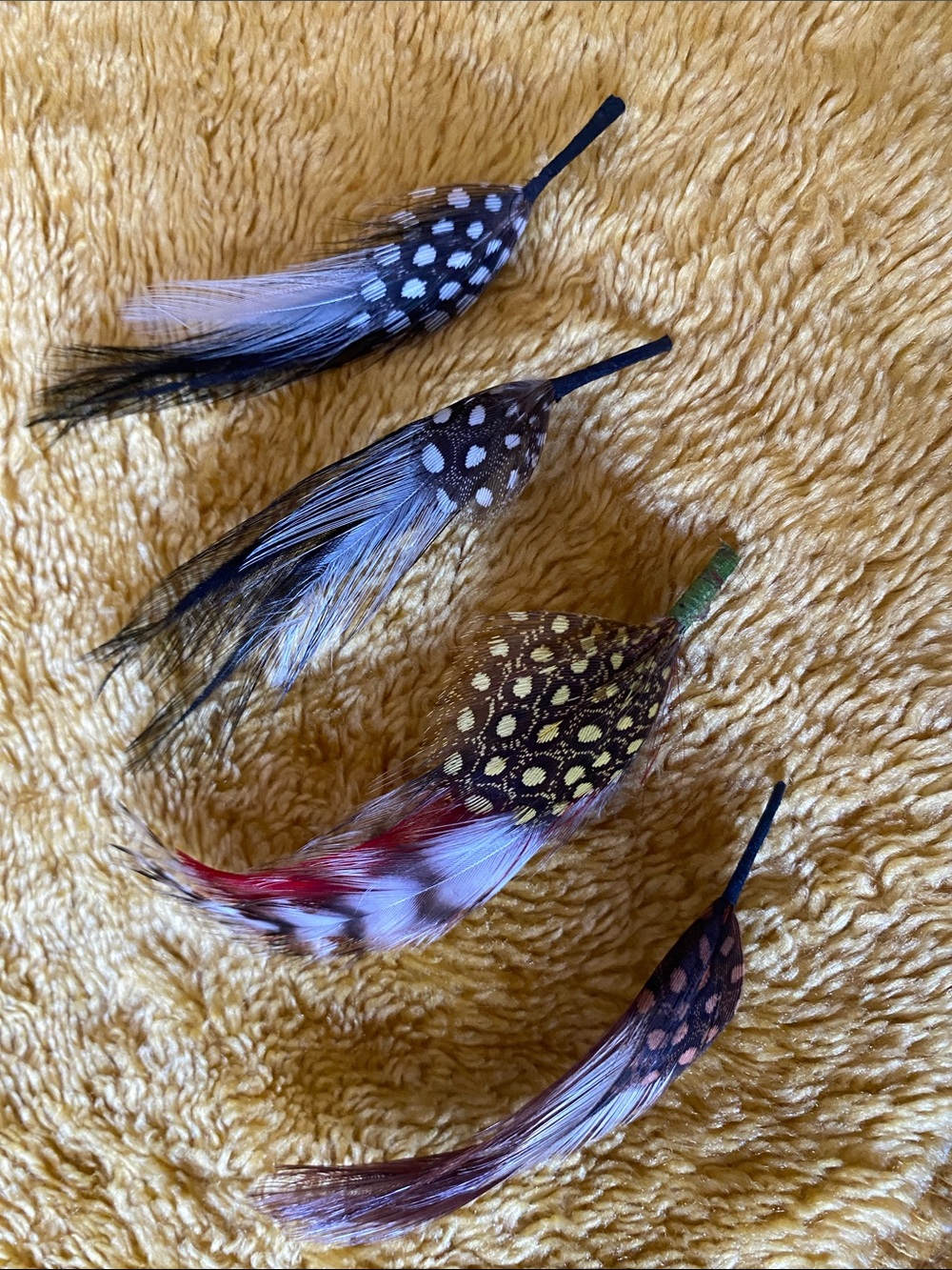 Lot of 4 Spotted Hat Feathers - Multi Color